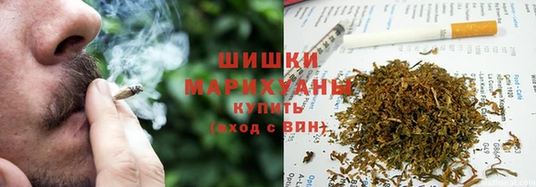 сатива Алексин
