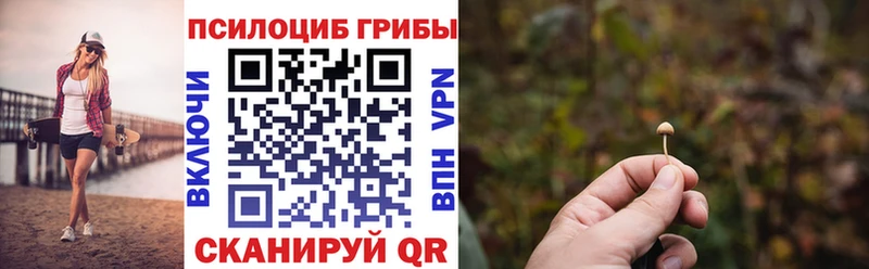 закладки  Саров  Псилоцибиновые грибы Psilocybe 